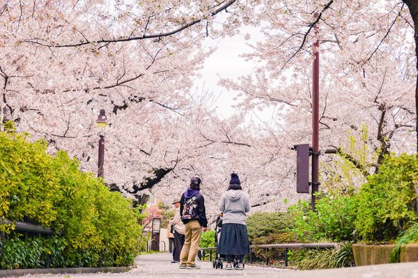 Comment organiser une visite des jardins impériaux de Tokyo, Japon?
