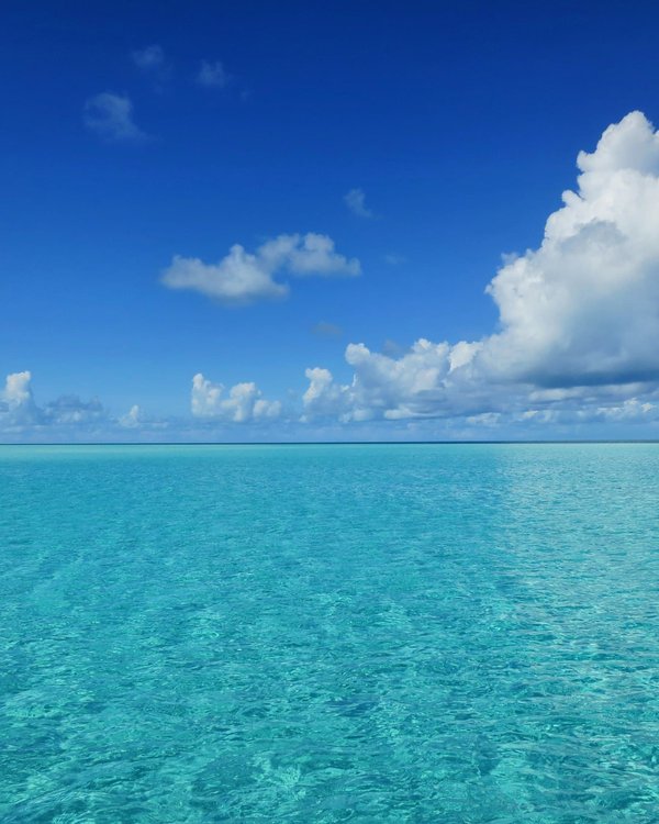Où trouver les plages de sable rose les plus spectaculaires aux Bahamas ?