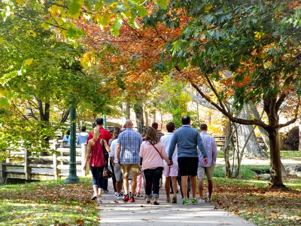 Quels sont les avantages de visiter des sites touristiques avec des circuits organisés ?